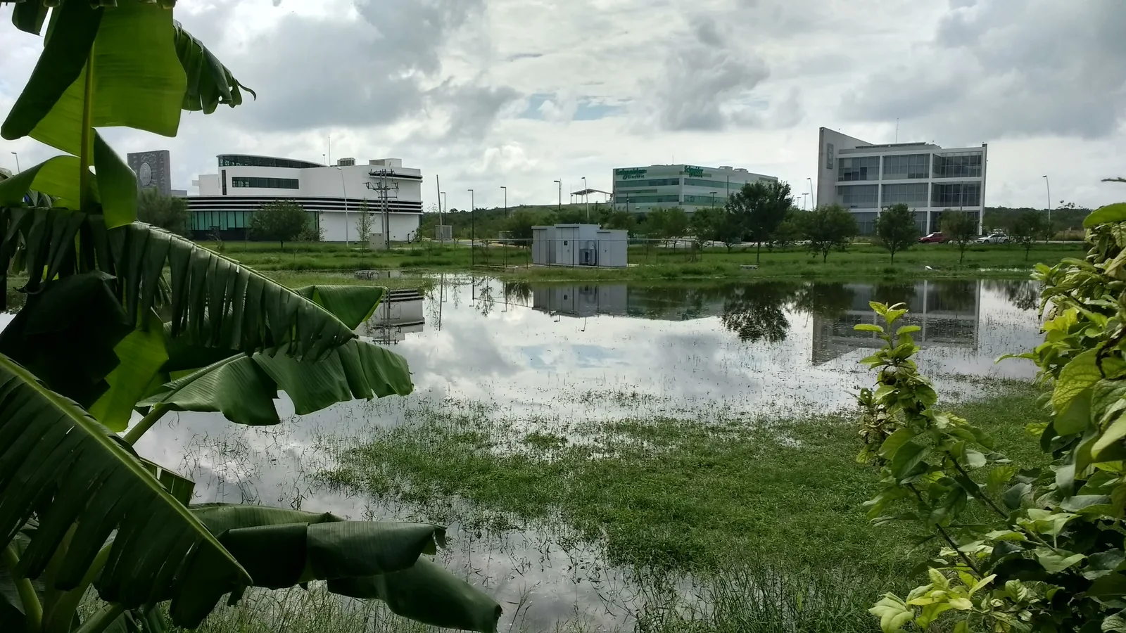 Institutos y áreas verdes del Parque PIIT en Apodaca