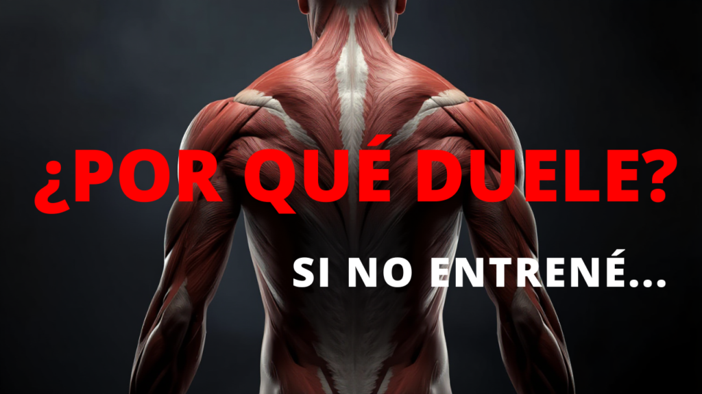 ¿Por qué me duele el cuerpo si no hice nada?